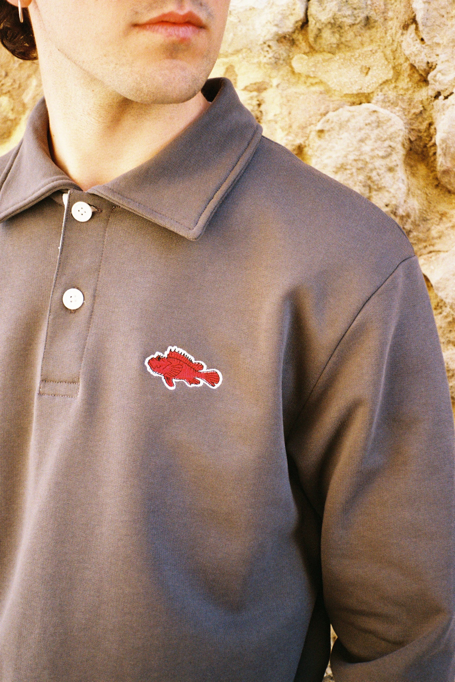 POLO FELPA GRIS - CAP ROIG